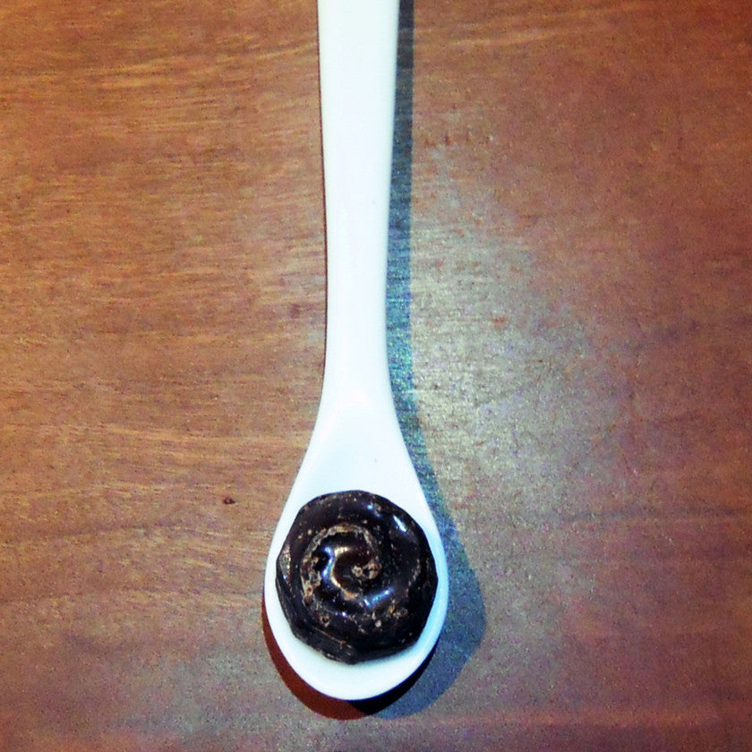 The Cioccolato Serving Spoon